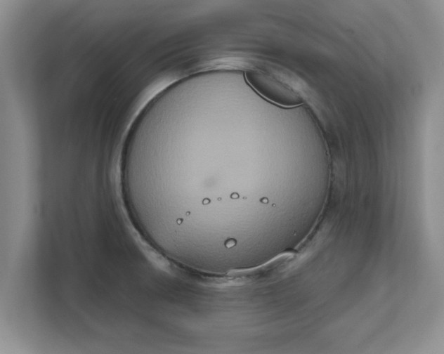 X0000111831426200908061146