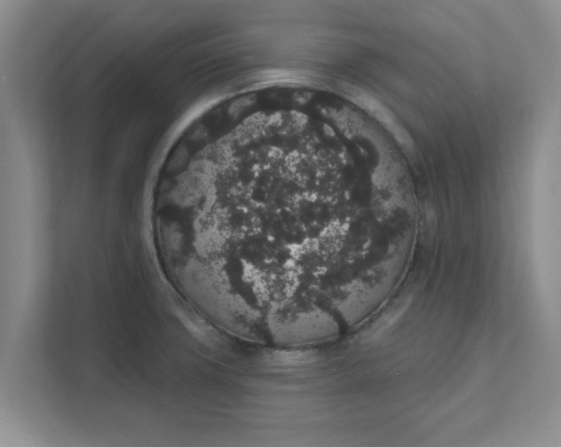 X0000111831427200908061146