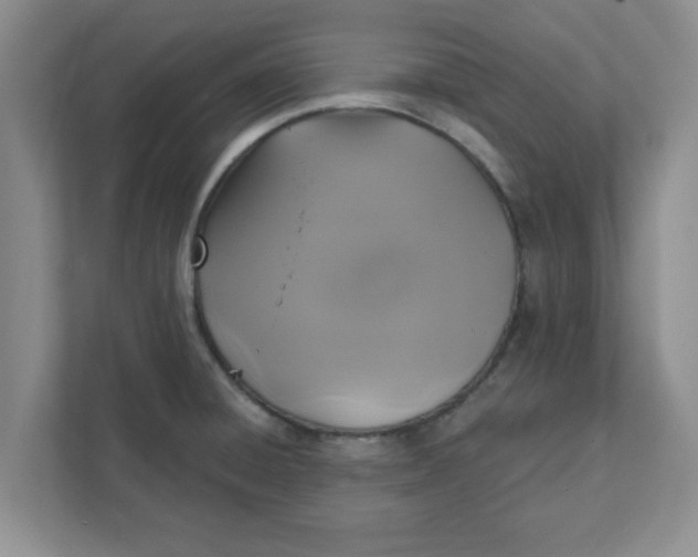 X0000111831428200908061146