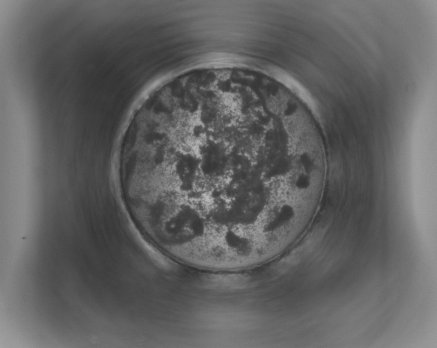 X0000111831429200908061146