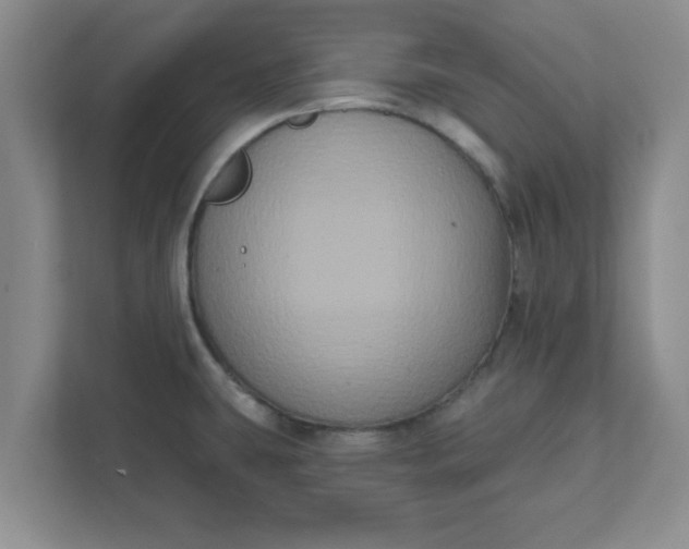 X0000111831431200908061146