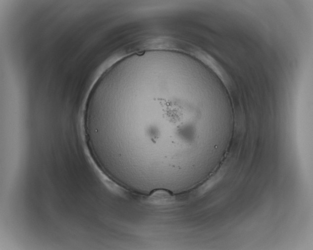 X0000111831434200908061146
