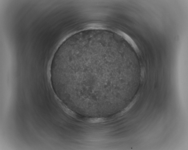 X0000111831435200908061146