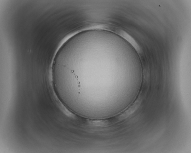 X0000111831436200908061146