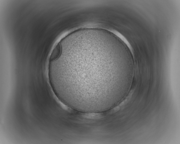 X0000111831437200908061146