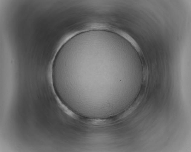 X0000111831439200908061146