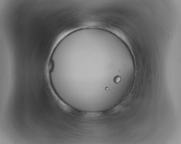 X0000111831440200908061146