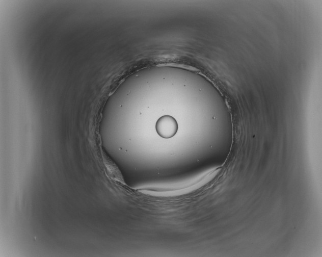 X0000111831441200908061146