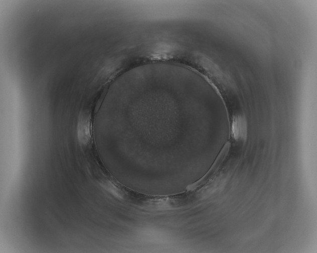 X0000111831444200908061146