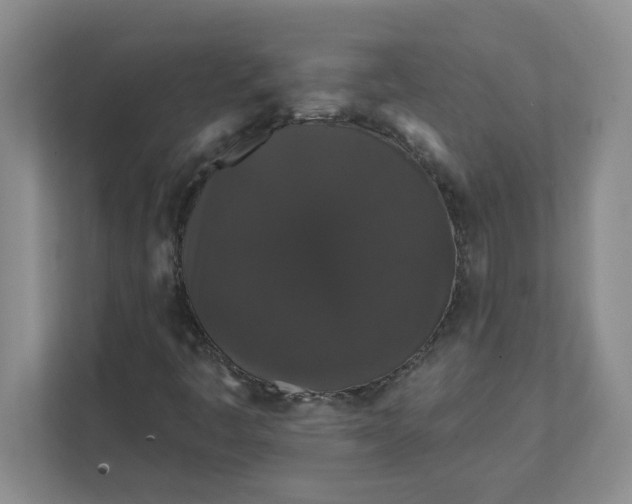 X0000111831445200908061146