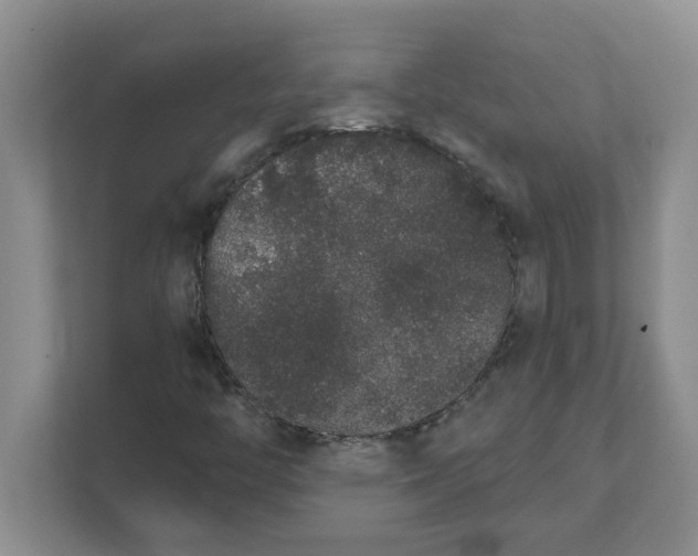 X0000111831446200908061146