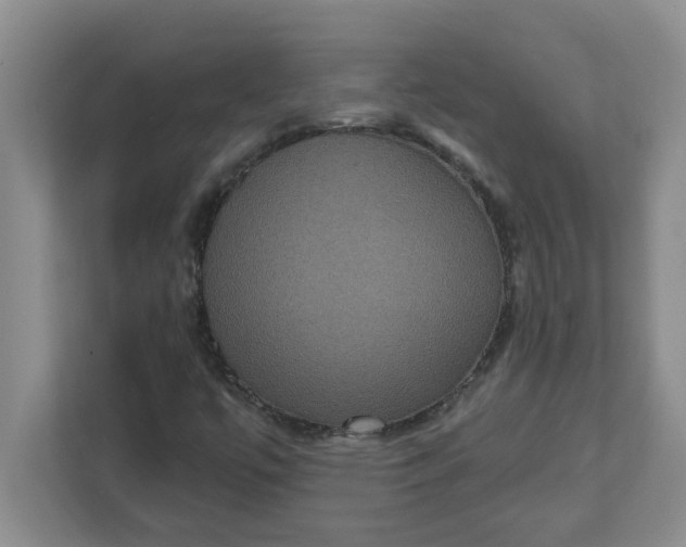 X0000111831447200908061146