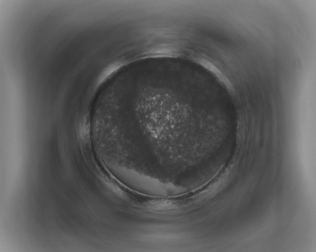 X0000111831450200908061146