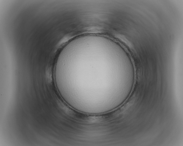 X0000111831451200908061146