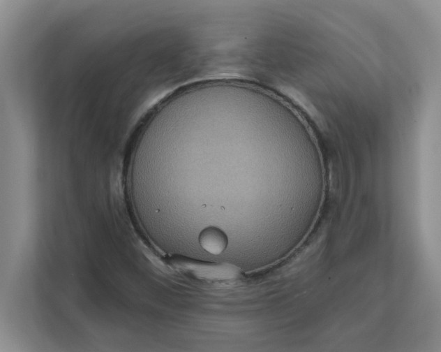 X0000111831452200908061146