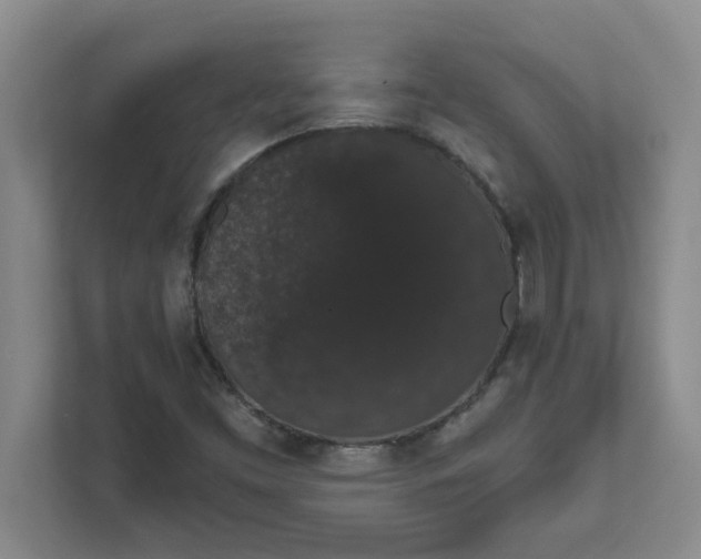 X0000111831453200908061146