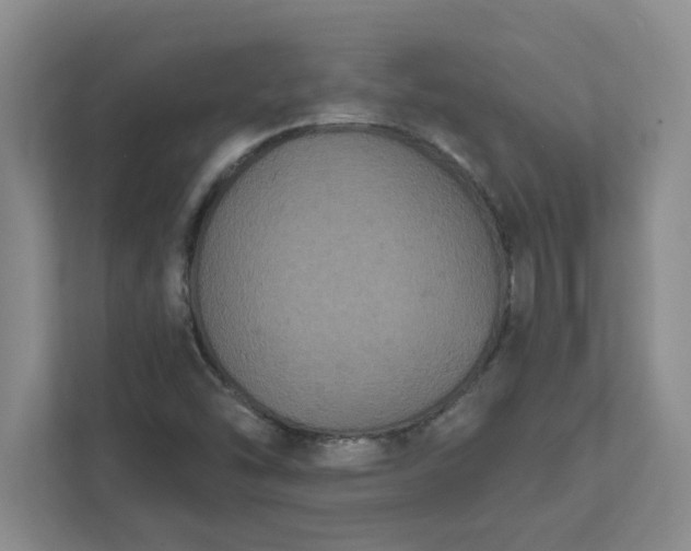X0000111831454200908061146