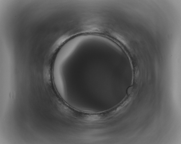 X0000111831455200908061146