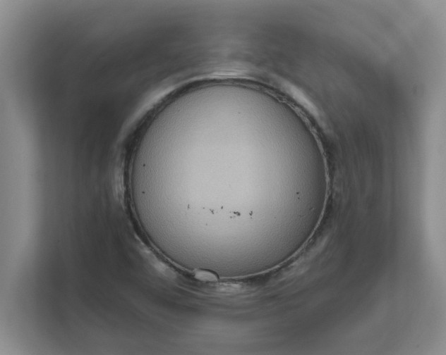 X0000111831456200908061146