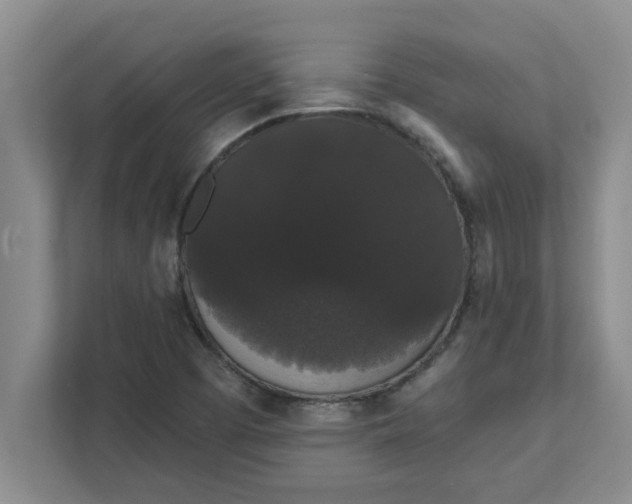 X0000111831457200908061146