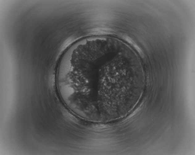 X0000111831459200908061146