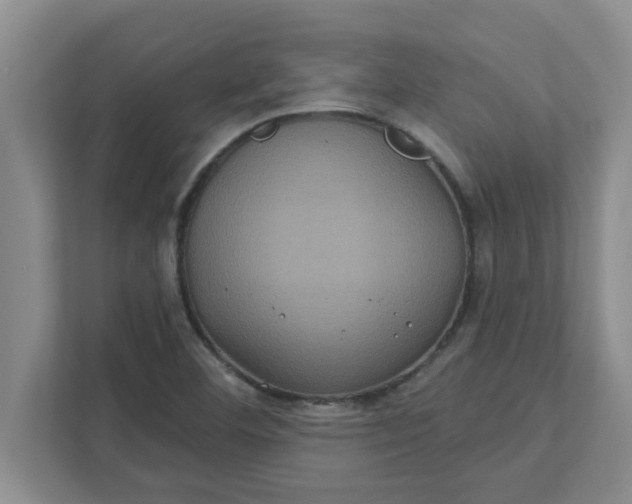 X0000111831460200908061146