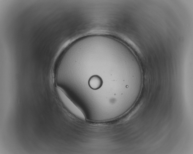 X0000111831461200908061146