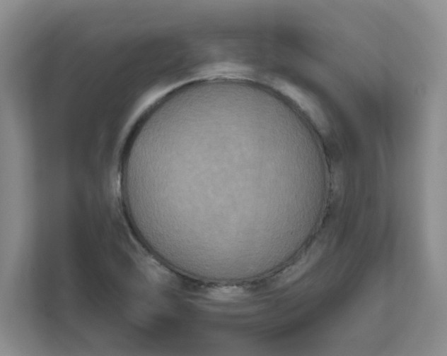 X0000111831462200908061146