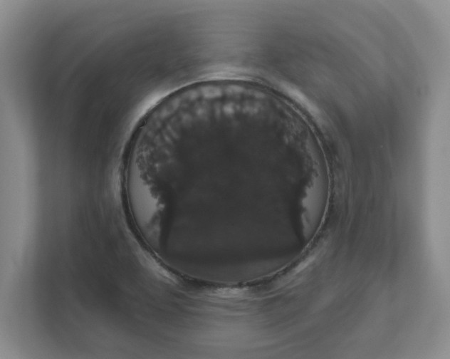 X0000111831463200908061146