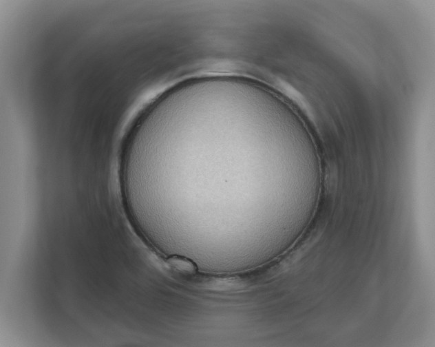 X0000111831464200908061146