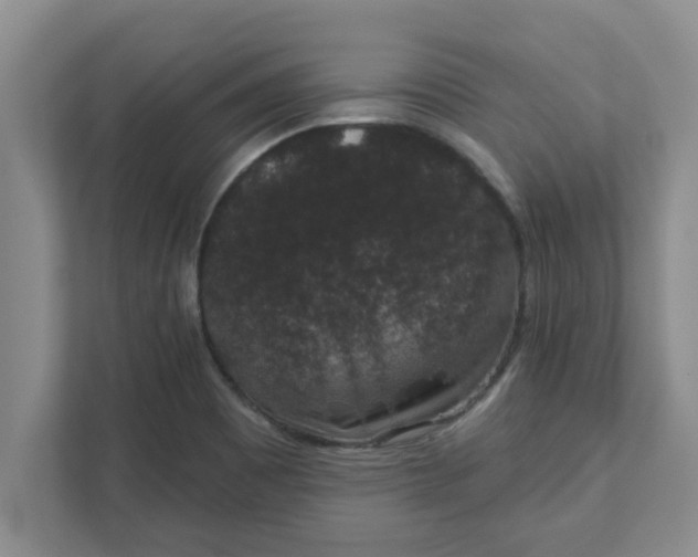 X0000111831465200908061146