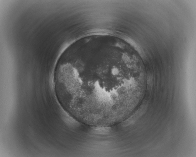 X0000111831466200908061146