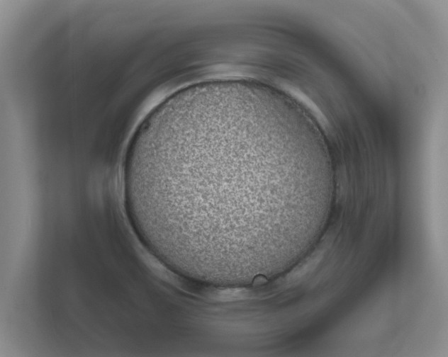 X0000111831467200908061146