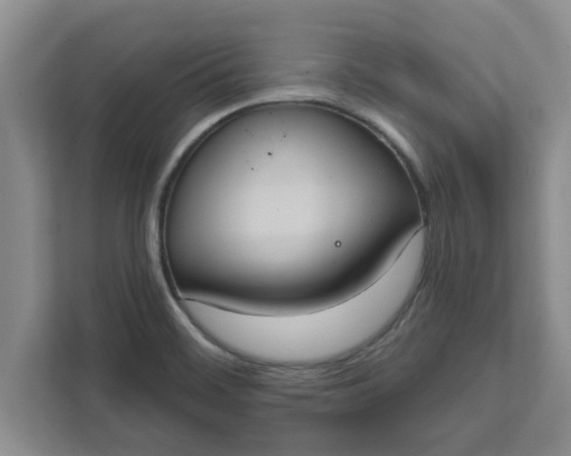 X0000111831468200908061146