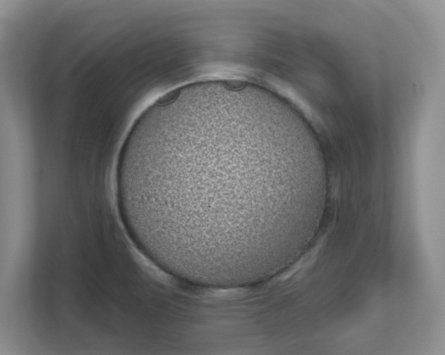 X0000111831471200908061145