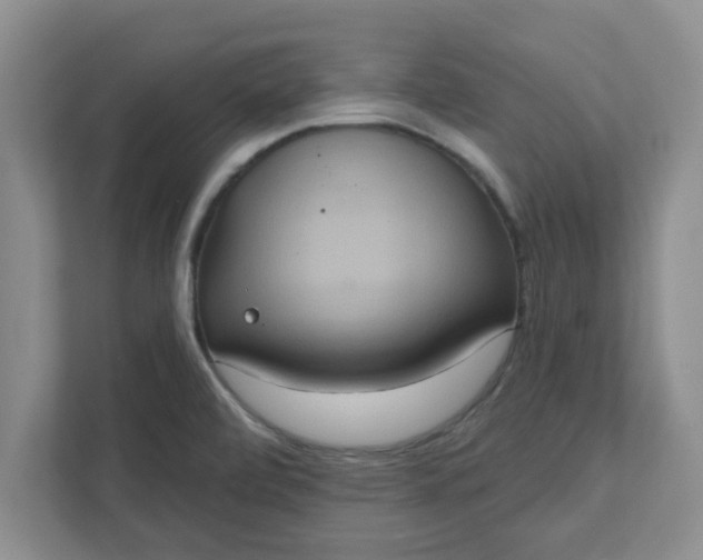 X0000111831472200908061145