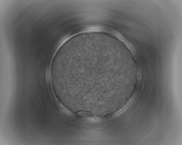 X0000111831473200908061145