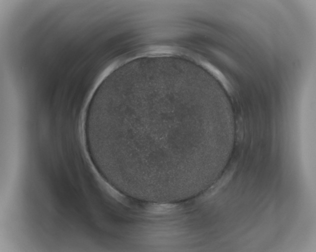 X0000111831475200908061145