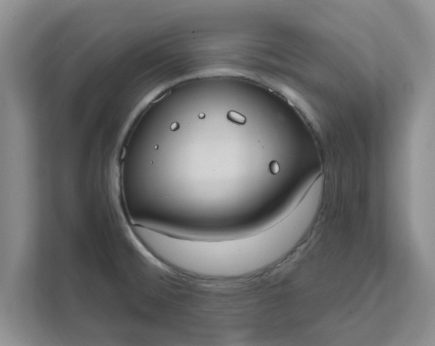 X0000111831476200908061145