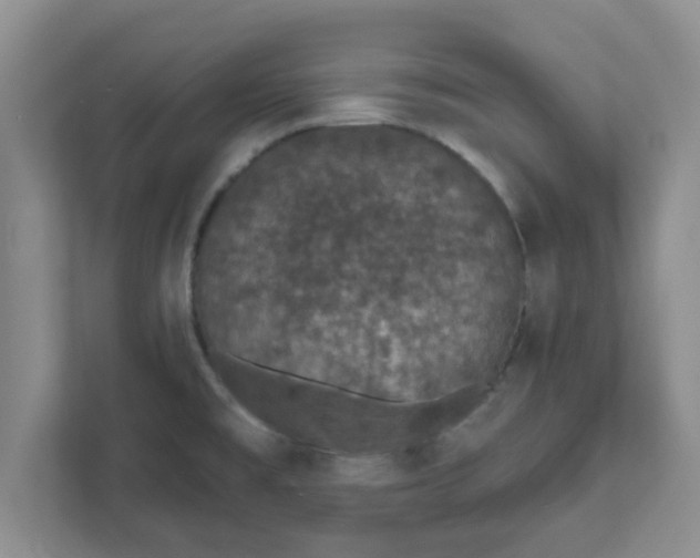 X0000111831477200908061145