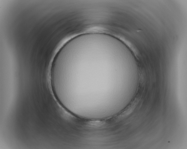 X0000111831478200908061145