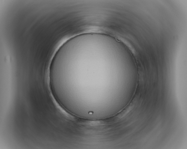 X0000111831479200908061145