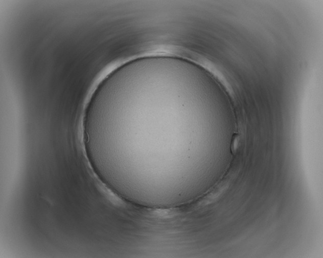 X0000111831480200908061145