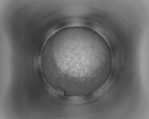 X0000111831481200908061145