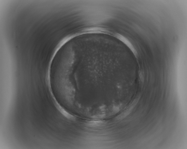 X0000111831482200908061145