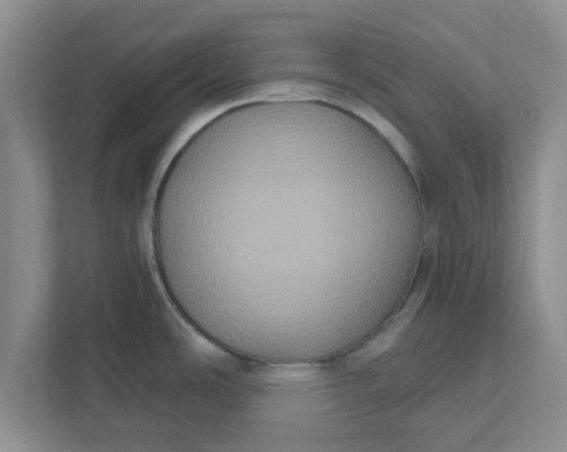 X0000111831486200908061145
