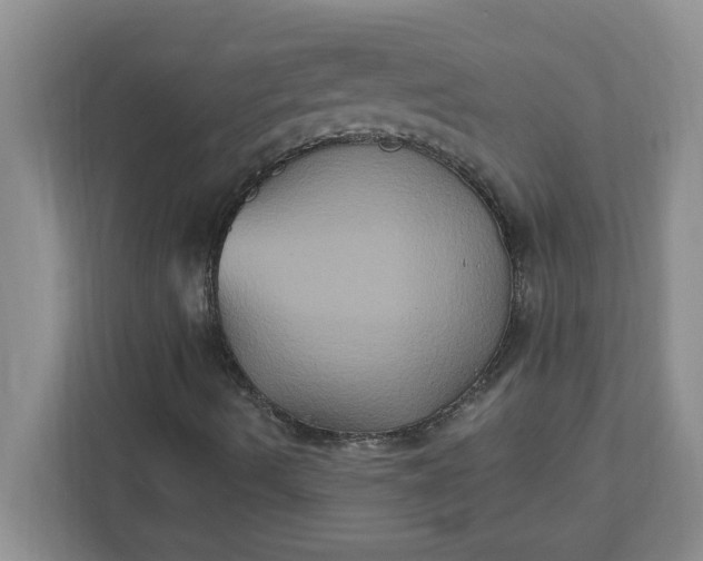 X0000111831490200908061145
