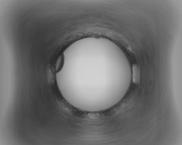 X0000111831491200908061145