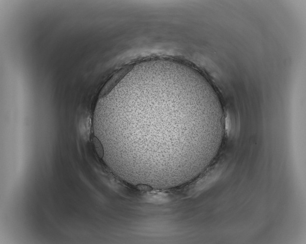 X0000111831492200908061145