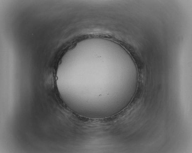 X0000111831493200908061145